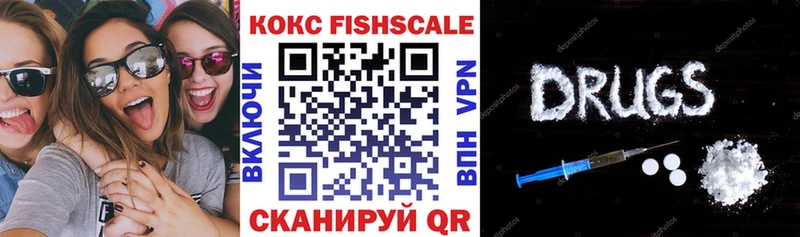 Cocaine Fish Scale  mega сайт  Элиста 