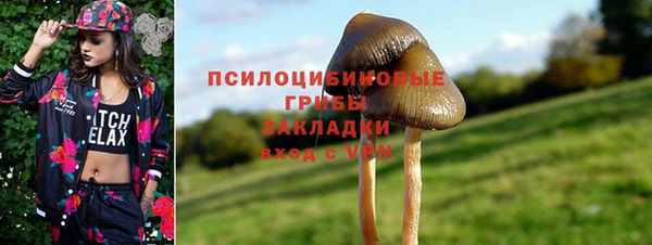 гашик Абдулино