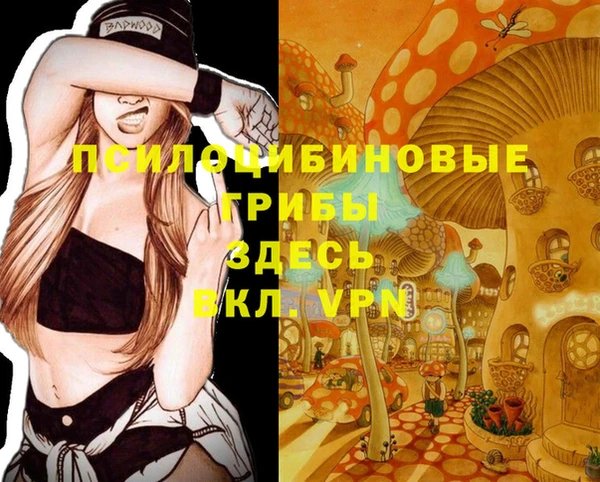 гашик Абдулино
