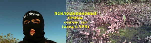 гашик Абдулино